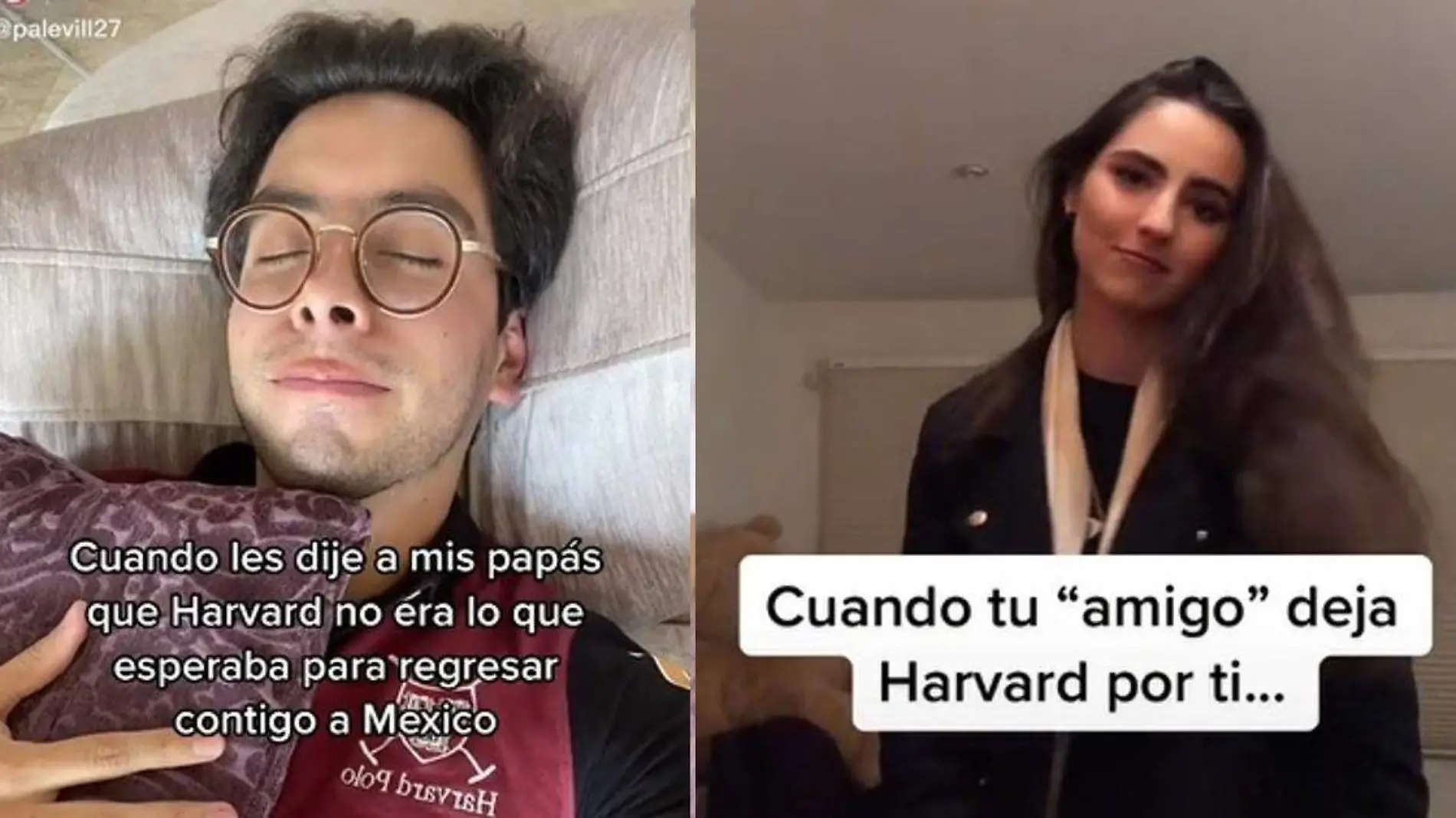 TikTok Harvard